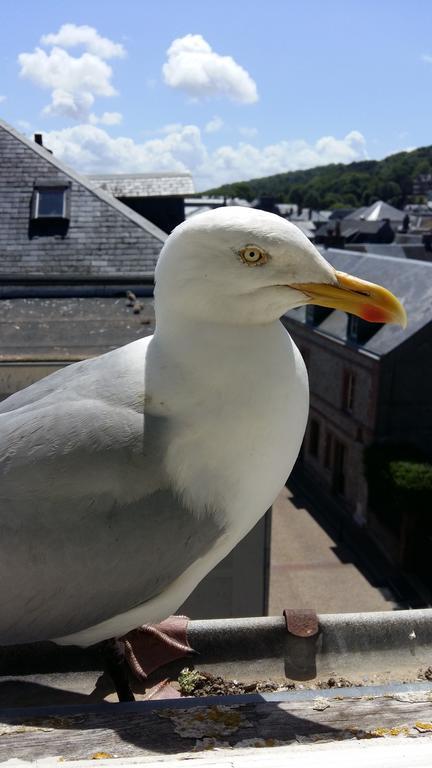 Les Galets Bleus Bed & Breakfast Étretat Dış mekan fotoğraf